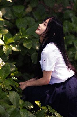 小妇人日本电视剧